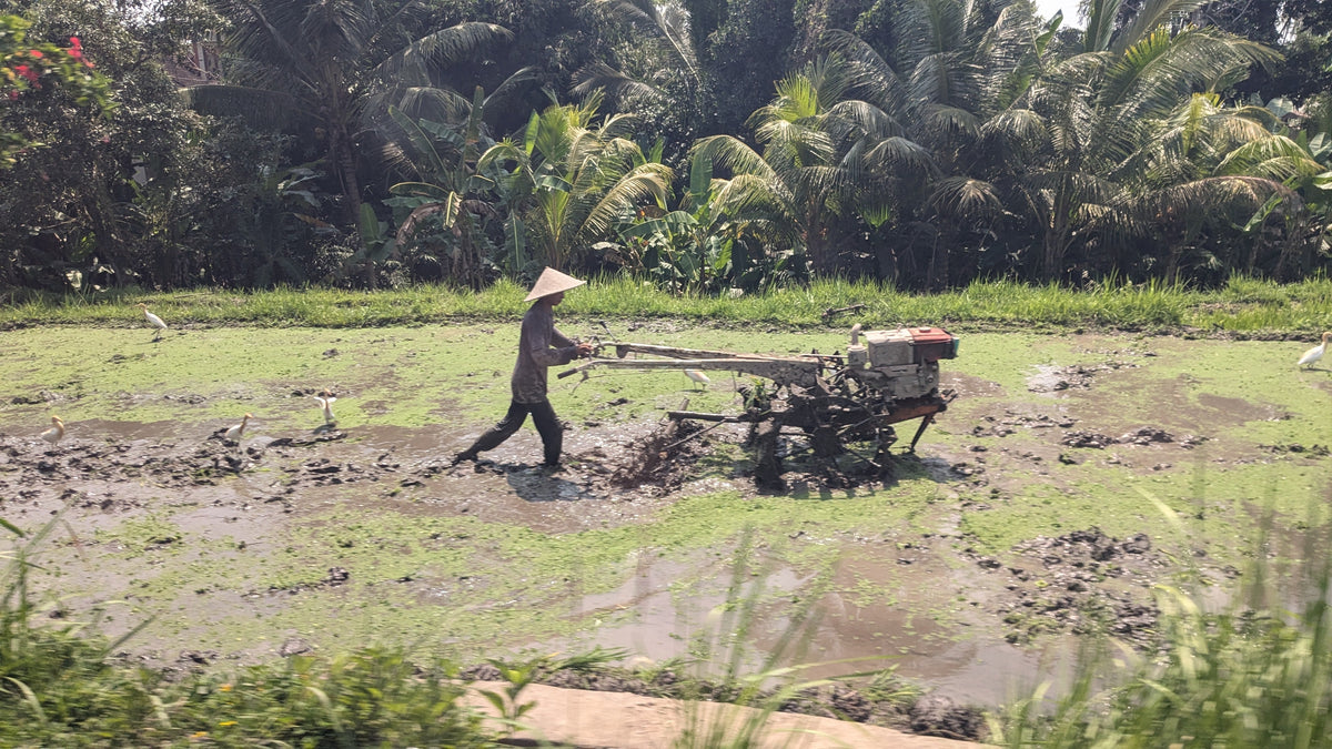 Ubud et au-delà : danse balinaise, Mont Batur et route vers Munduk